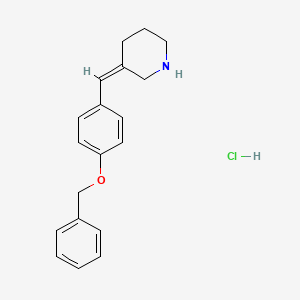 molecular formula C19H22ClNO B7826869 3-(4-(Benzyloxy)benzylidene)piperidine hydrochloride 