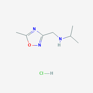 molecular formula C7H14ClN3O B7826977 N-[(5-methyl-1,2,4-oxadiazol-3-yl)methyl]propan-2-amine hydrochloride 