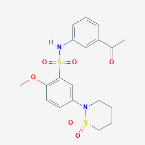 molecular formula C19H22N2O6S2 B7828357 N-(3-acetylphenyl)-5-(1,1-dioxido-1,2-thiazinan-2-yl)-2-methoxybenzenesulfonamide 