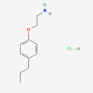 molecular formula C11H18ClNO B7829648 [2-(4-propylphenoxy)ethyl]amine HCl 