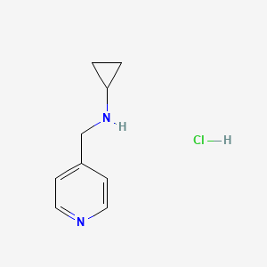 molecular formula C9H13ClN2 B7829859 N-(pyridin-4-ylmethyl)cyclopropanamine hydrochloride 