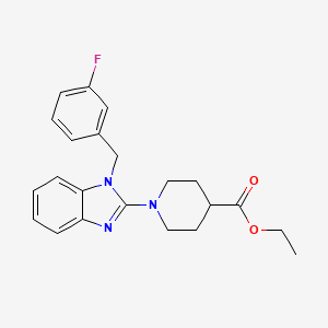 molecular formula C22H24FN3O2 B7830773 ethyl 1-[1-(3-fluorobenzyl)-1H-benzimidazol-2-yl]piperidine-4-carboxylate 