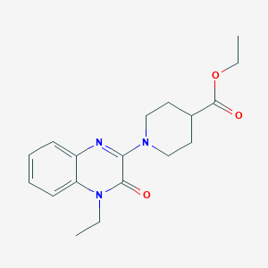 molecular formula C18H23N3O3 B7831539 Ethyl 1-(4-ethyl-3-oxo-3,4-dihydroquinoxalin-2-yl)piperidine-4-carboxylate 