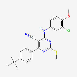 molecular formula C23H23ClN4OS B7834612 4-(4-Tert-butylphenyl)-6-[(3-chloro-4-methoxyphenyl)amino]-2-(methylthio)pyrimidine-5-carbonitrile 