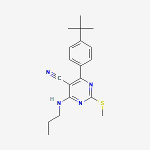 molecular formula C19H24N4S B7834936 4-(4-Tert-butylphenyl)-2-(methylthio)-6-(propylamino)pyrimidine-5-carbonitrile 