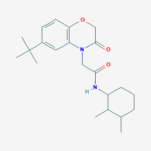 molecular formula C22H32N2O3 B7835664 2-(6-tert-butyl-3-oxo-2,3-dihydro-4H-1,4-benzoxazin-4-yl)-N-(2,3-dimethylcyclohexyl)acetamide 