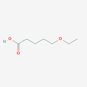 molecular formula C7H14O3 B7836322 5-乙氧基戊酸 