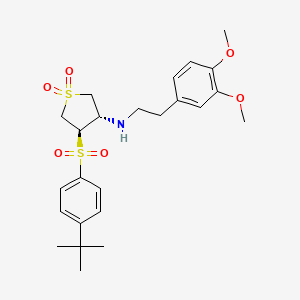 molecular formula C24H33NO6S2 B7837478 (3S,4R)-4-[(4-tert-butylphenyl)sulfonyl]-N-[2-(3,4-dimethoxyphenyl)ethyl]tetrahydrothiophen-3-amine 1,1-dioxide 