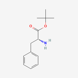 molecular formula C13H19NO2 B7839149 D-Phenylalanine, 1,1-dimethylethyl ester CAS No. 6404-30-4