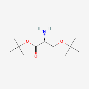 molecular formula C11H23NO3 B7839155 O-(t-butyl)-r-serine t-butyl ester 