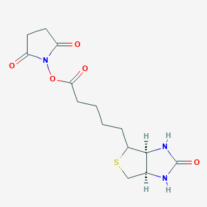 molecular formula C14H19N3O5S B7839263 Biotinyl-OSu 