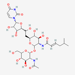 molecular formula C30H46N4O16 B7840165 (E)-N-[(3S,4S,6S)-2-[(2R,4R,5S)-3-acetamido-4,5-dihydroxy-6-(hydroxymethyl)oxan-2-yl]oxy-6-[2-[(2R,3R,5R)-5-(2,4-dioxopyrimidin-1-yl)-3,4-dihydroxyoxolan-2-yl]-2-hydroxyethyl]-4,5-dihydroxyoxan-3-yl]-5-methylhex-2-enamide 