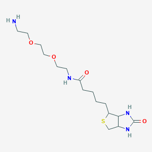 molecular formula C16H30N4O4S B7840585 N-(3,6-Dioxa-8-aminooctane-1-yl)-3-oxo-7-thia-2,4-diazabicyclo[3.3.0]octane-6-pentanamide 