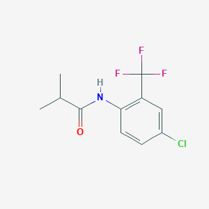 molecular formula C11H11ClF3NO B7840643 N-[4-chloro-2-(trifluoromethyl)phenyl]-2-methylpropanamide 