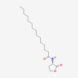 molecular formula C19H35NO3 B7852614 N-十五烷酰基-L-高丝氨酸内酯 