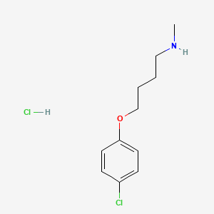molecular formula C11H17Cl2NO B7854222 4-(4-chlorophenoxy)-N-methylbutan-1-amine;hydrochloride 