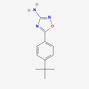 5-(4-Tert-butylphenyl)-1,2,4-oxadiazol-3-amine
