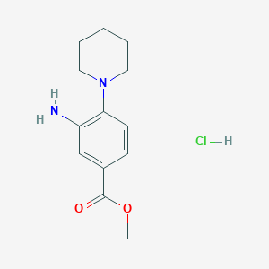 molecular formula C13H19ClN2O2 B7855150 Methyl 3-amino-4-(piperidin-1-yl)benzoate hydrochloride 