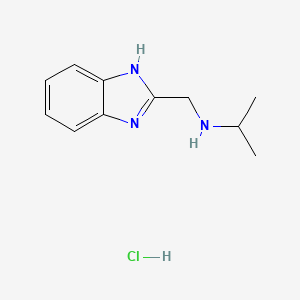 molecular formula C11H16ClN3 B7855293 N-((1H-benzo[d]imidazol-2-yl)methyl)propan-2-amine hydrochloride 
