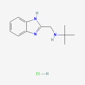 molecular formula C12H18ClN3 B7855340 N-((1H-benzo[d]imidazol-2-yl)methyl)-2-methylpropan-2-amine hydrochloride 
