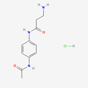 molecular formula C11H16ClN3O2 B7855758 N-(4-acetamidophenyl)-3-aminopropanamide hydrochloride 