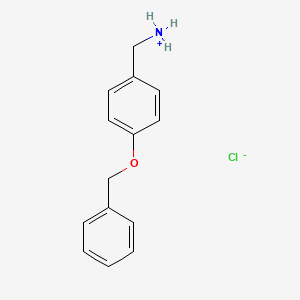(4-Phenylmethoxyphenyl)methylazanium;chloride