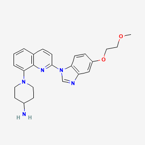 molecular formula C24H27N5O2 B7856348 1-(2-(5-(2-Methoxyethoxy)benzimidazol-1-yl)quinolin-8-yl)piperidin-4-ylamine CAS No. 804551-39-1