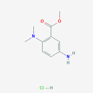 molecular formula C10H15ClN2O2 B7857046 Methyl 5-amino-2-(dimethylamino)benzoate hydrochloride 