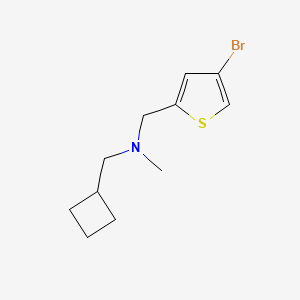 molecular formula C11H16BrNS B7858143 [(4-Bromothiophen-2-yl)methyl](cyclobutylmethyl)methylamine 