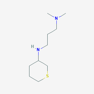 molecular formula C10H22N2S B7858157 N1,N1-Dimethyl-N3-(tetrahydro-2H-thiopyran-3-yl)propane-1,3-diamine 