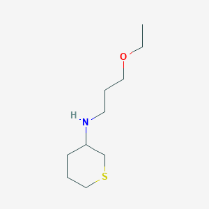 molecular formula C10H21NOS B7858257 N-(3-Ethoxypropyl)tetrahydro-2H-thiopyran-3-amine 