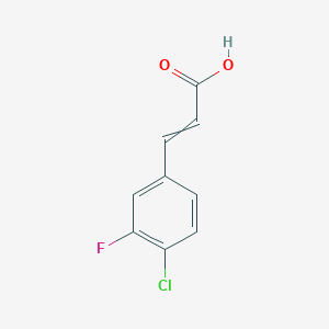 molecular formula C9H6ClFO2 B7859835 3-(4-Chloro-3-fluoro-phenyl)-acrylic acid 