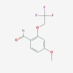molecular formula C10H9F3O3 B7860257 4-Methoxy-2-(2,2,2-trifluoroethoxy)benzaldehyde 