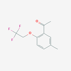 molecular formula C11H11F3O2 B7860261 1-(5-Methyl-2-(2,2,2-trifluoroethoxy)phenyl)ethanone 