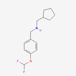 molecular formula C14H19F2NO B7860600 (Cyclopentylmethyl)({[4-(difluoromethoxy)phenyl]methyl})amine 