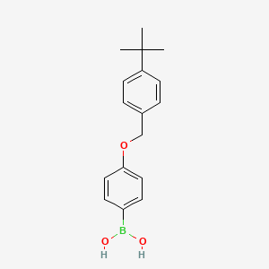 molecular formula C17H21BO3 B7860750 Boronic acid, B-[4-[[4-(1,1-dimethylethyl)phenyl]methoxy]phenyl]- 