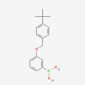 molecular formula C17H21BO3 B7860765 Boronic acid, B-[3-[[4-(1,1-dimethylethyl)phenyl]methoxy]phenyl]- 