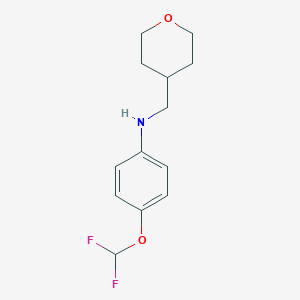 molecular formula C13H17F2NO2 B7860831 4-(Difluoromethoxy)-N-((tetrahydro-2H-pyran-4-yl)methyl)aniline 