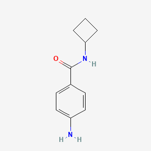 molecular formula C11H14N2O B7860892 4-amino-N-cyclobutylbenzamide 