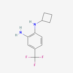 molecular formula C11H13F3N2 B7860935 N1-cyclobutyl-4-(trifluoromethyl)benzene-1,2-diamine 