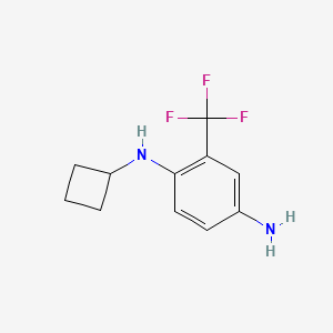 molecular formula C11H13F3N2 B7860938 N1-cyclobutyl-2-(trifluoromethyl)benzene-1,4-diamine 