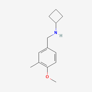 molecular formula C13H19NO B7860956 N-[(4-methoxy-3-methylphenyl)methyl]cyclobutanamine CAS No. 1249454-73-6
