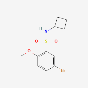 molecular formula C11H14BrNO3S B7861018 5-bromo-N-cyclobutyl-2-methoxybenzenesulfonamide 