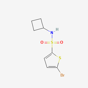 molecular formula C8H10BrNO2S2 B7861025 5-bromo-N-cyclobutylthiophene-2-sulfonamide 