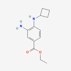 molecular formula C13H18N2O2 B7861027 Ethyl 3-amino-4-(cyclobutylamino)benzoate 