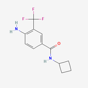 molecular formula C12H13F3N2O B7861033 4-amino-N-cyclobutyl-3-(trifluoromethyl)benzamide 