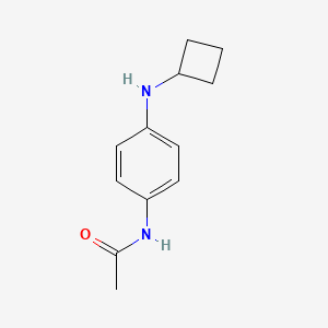 molecular formula C12H16N2O B7861130 N-[4-(cyclobutylamino)phenyl]acetamide 