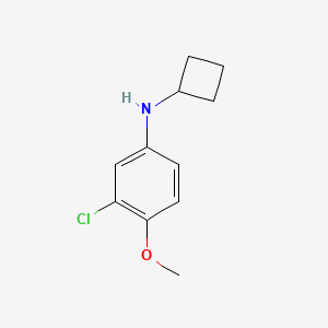 molecular formula C11H14ClNO B7861142 3-chloro-N-cyclobutyl-4-methoxyaniline 