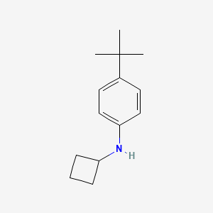 molecular formula C14H21N B7861149 4-tert-butyl-N-cyclobutylaniline 