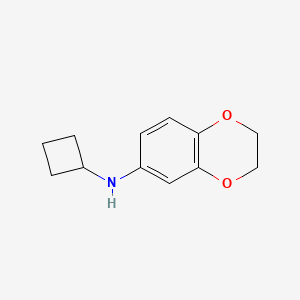 molecular formula C12H15NO2 B7861179 N-cyclobutyl-2,3-dihydro-1,4-benzodioxin-6-amine 